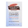 PALMER'S COCOA BUTTER FORMULA DAILY SKIN THERAPY 100G 1 10181045554 PALMER'S COCOA BUTTER FORMULA DAILY SKIN THERAPY 100G